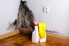  , NH Mold Prevention & Removal Pros